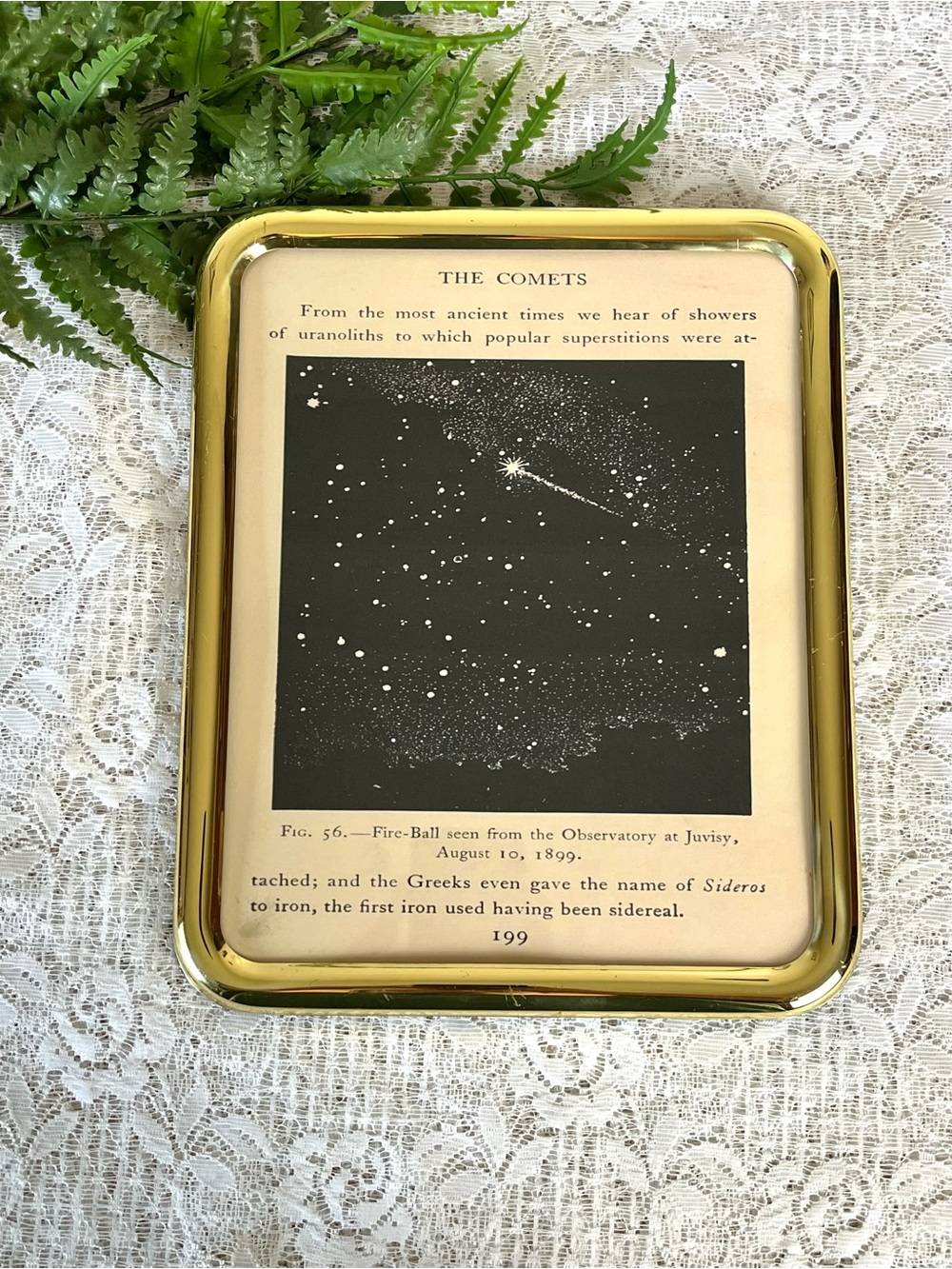 Vintage Solid Brass Framed Comet Astrology Decor 8x10